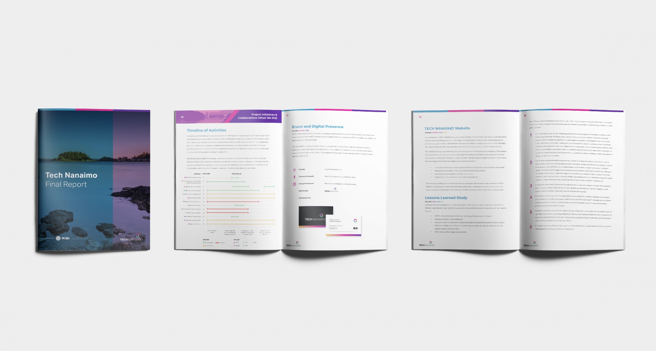 Example of report design featuring images and graphics.