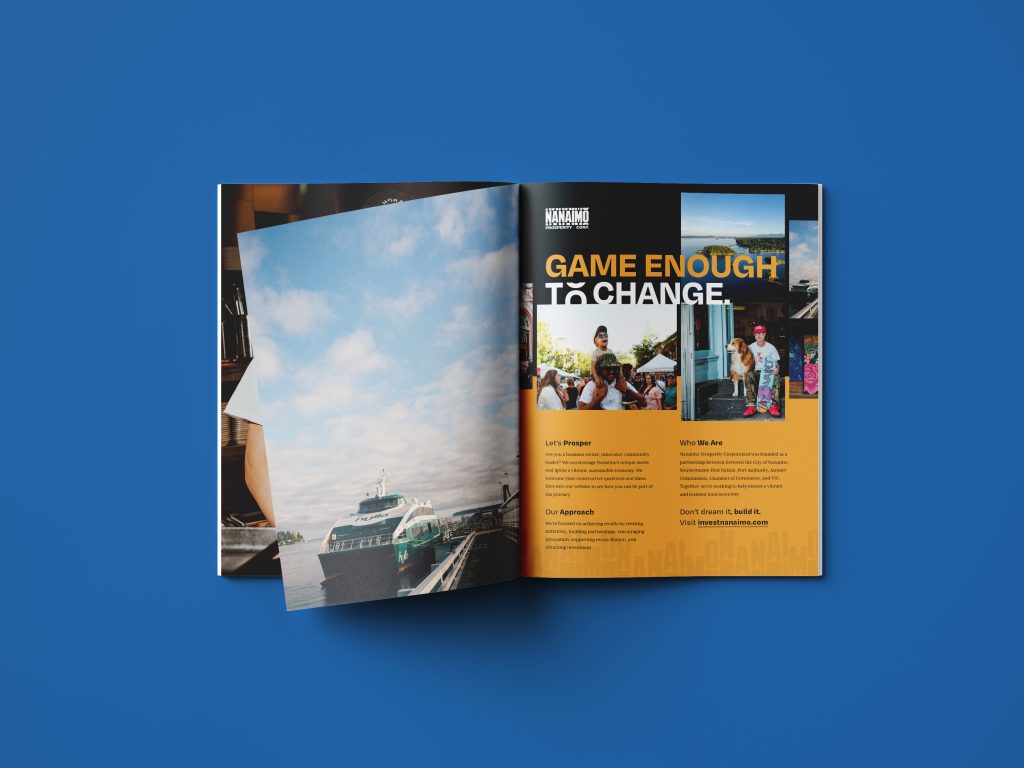 Marketing Strategy & Ad Campaigns