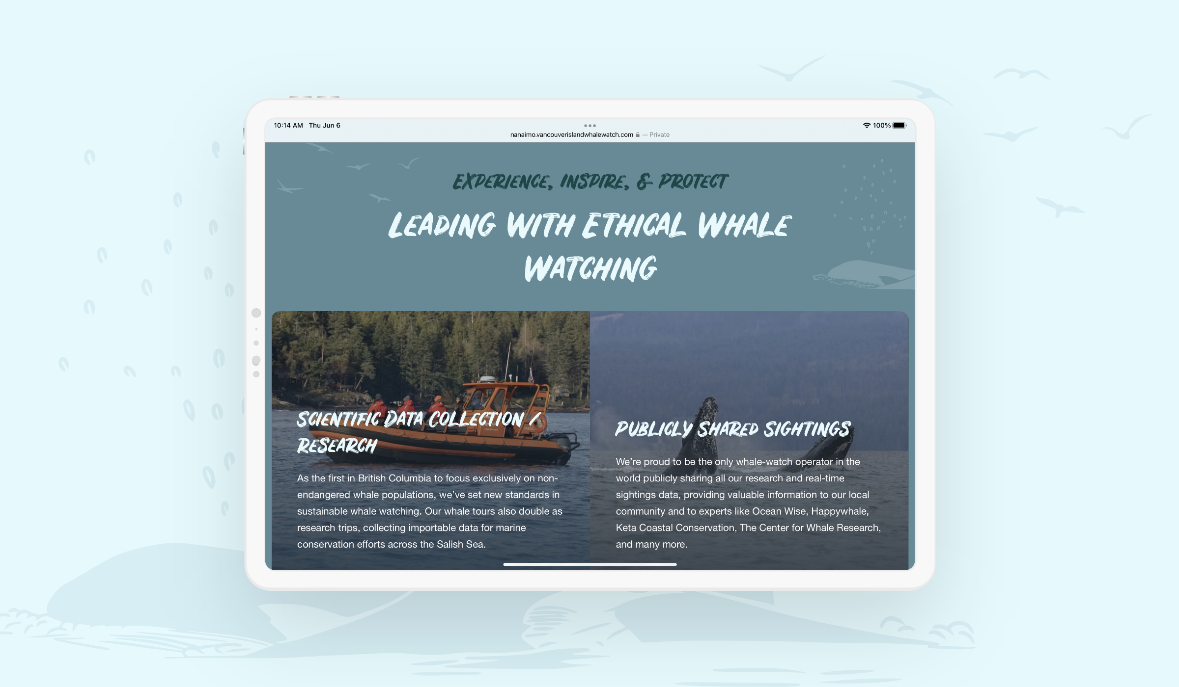 Screenshot of a Vancouver Island Whale Watch campaign landing page. Designed and developed by Array.