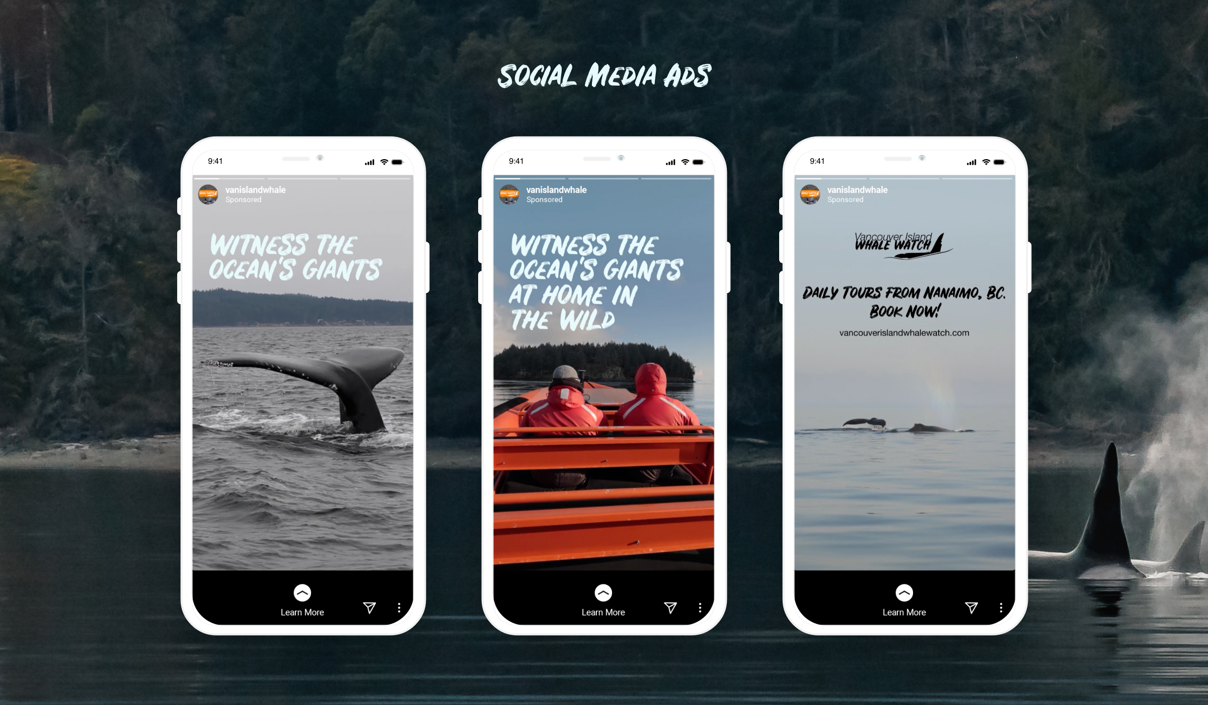 3 mobile phones displaying social media ads for Vancouver Island Whale Watch. Digital ads by Array Marketing Agency in Nanaimo, BC.